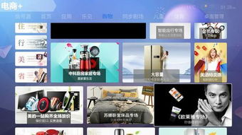 电视广告也有收视率，你知道吗？